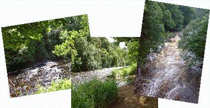 Three views of the Roe