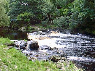 Der WasserfaLL