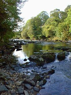View up the Roe