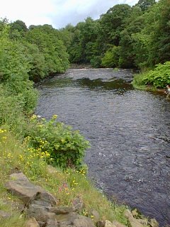 The Roe with a half hidden fisherman to the right