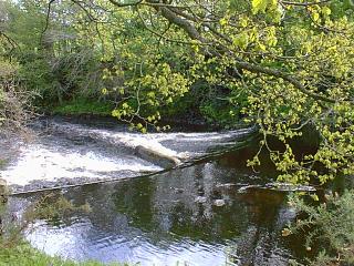 The same old weir