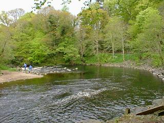 Disabled access fishing area