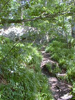 A wall across the path