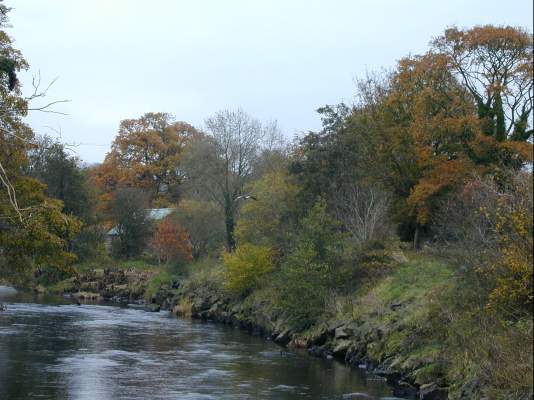 Autumn at the Roe in the Country Park