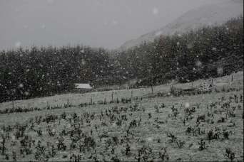 The first snow