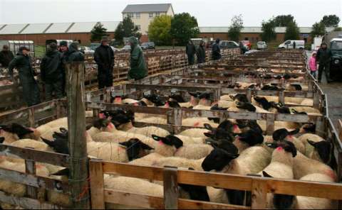 The Aghanloo show in Limavady