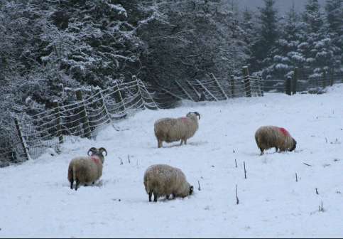 Winter in the Roe Valley