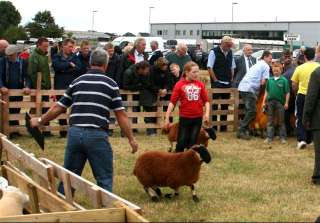 A yow at the show