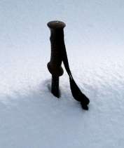 A stick in the snow