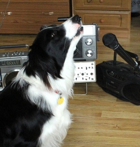 Jessie jodelling for Limavady 400FM
