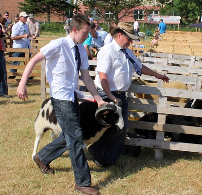 Limavady Show 2013