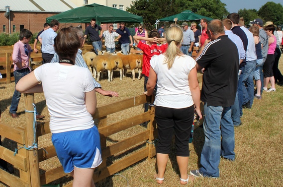 Visitors to the Limavady show