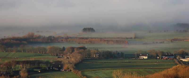 A misty morning