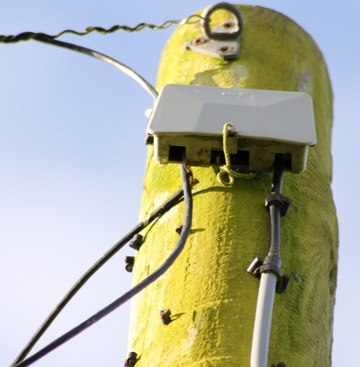 A sick telephone mast