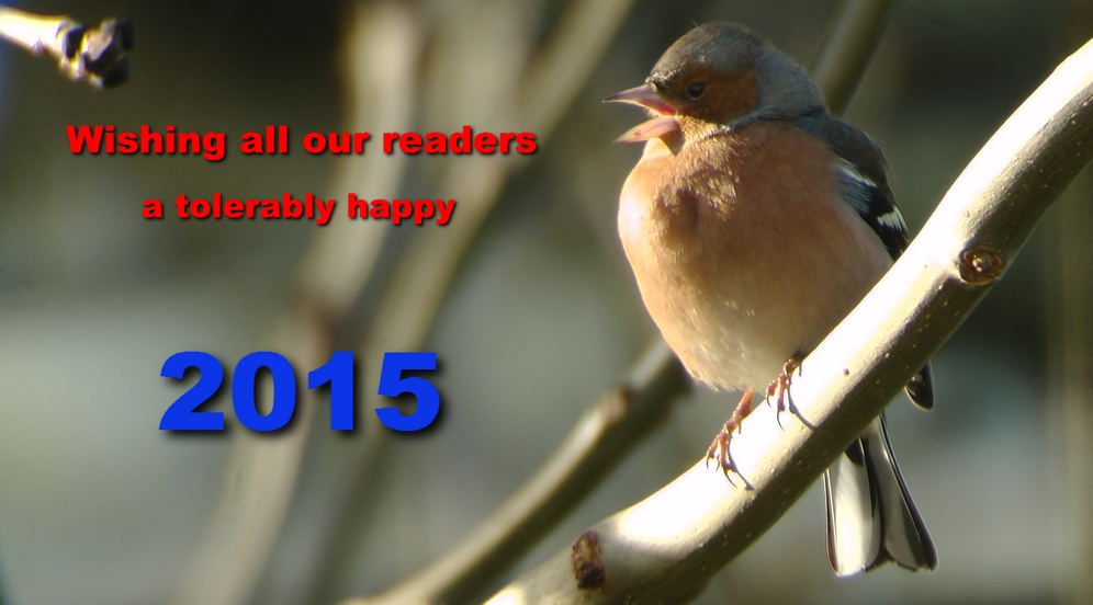 Happy new year