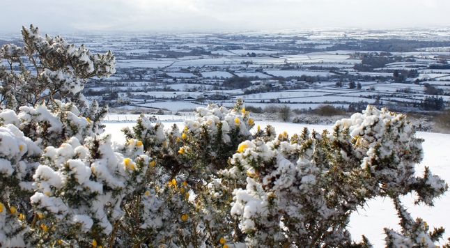 Spring and Winter