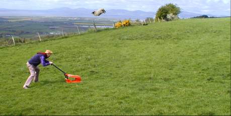 One man went to mow