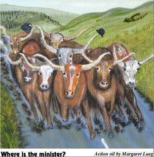 A stampeding herd of Texas Longhorns on Benevenagh