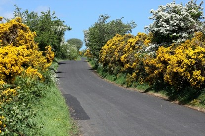 The Bishops Road in Ballyhanna