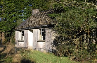 Small old
              house