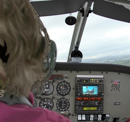 The pilot