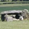 Dolmen link