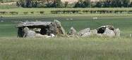 The dolmen at Carrick East