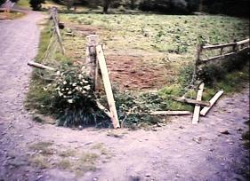 The broken fence