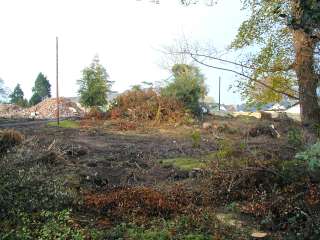 It used to be beautiful
