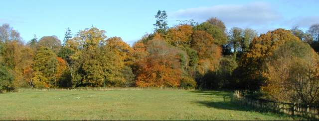 Autumn