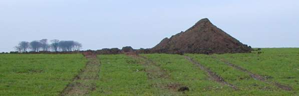 A pile of dirt