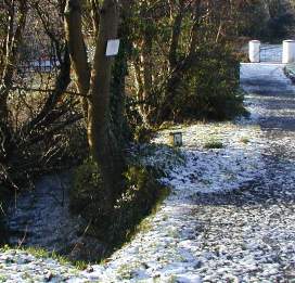 Path in the Country Park