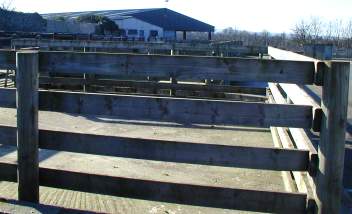 Stalls in the Market Yard