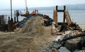 Peering over the pier