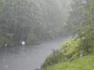 A rainy Country Park