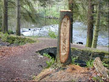 A sign saying Roe with the Roe just a few metres away