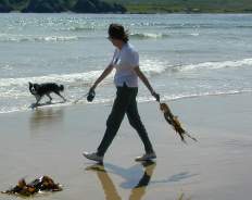The walk to Greencastle