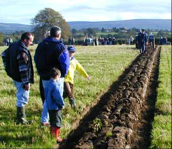 A furrow