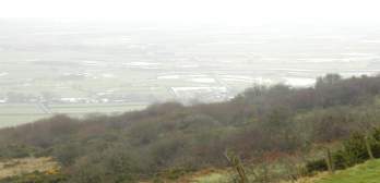 Watery fields