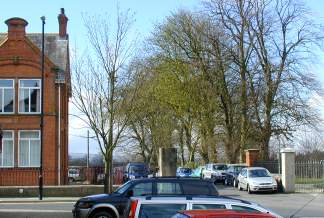 Trees near the Market yard