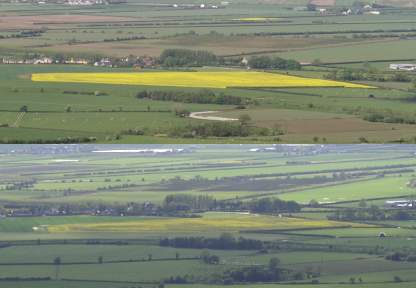 The same field of rape seed before and after