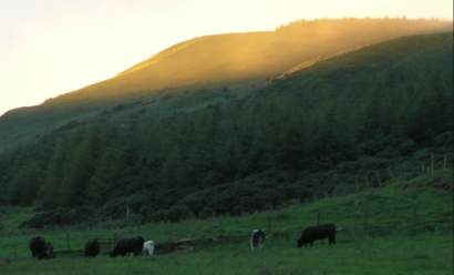 Benevenagh Mountain