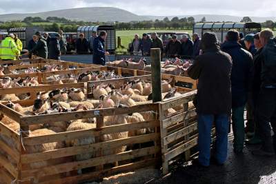 The Aghanloo Show in the Roe Valley