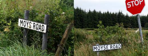 The Moys(e) Road