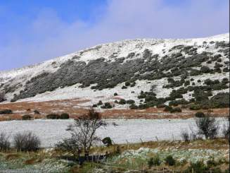 Snow on Benevenagh