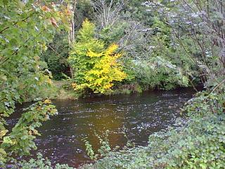 Autum