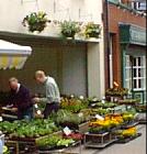 Flower pots