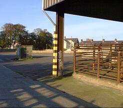 The Market Yard