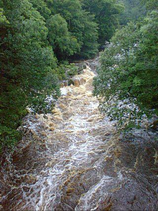 The Roe in flood