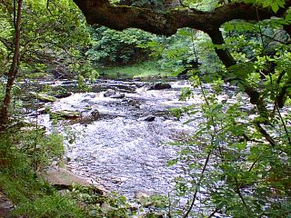 A view on the river Roe